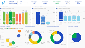 Consumer Loan Performance: An Interactive Loan Monitoring Dashboard